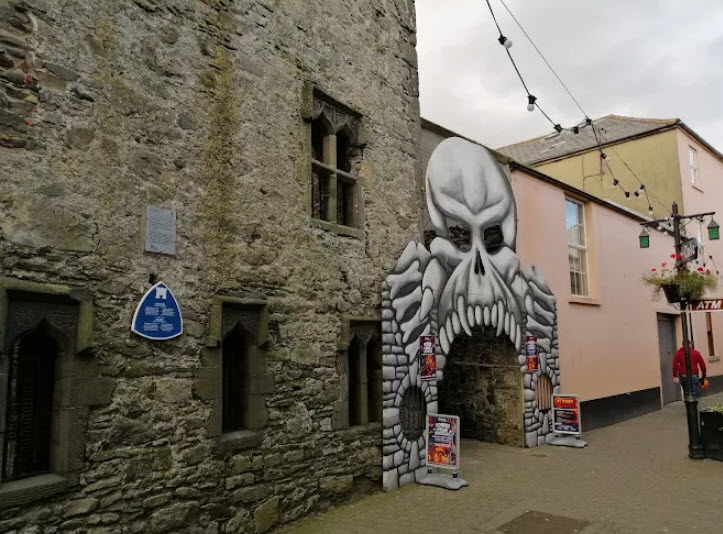 The Mint, Ireland